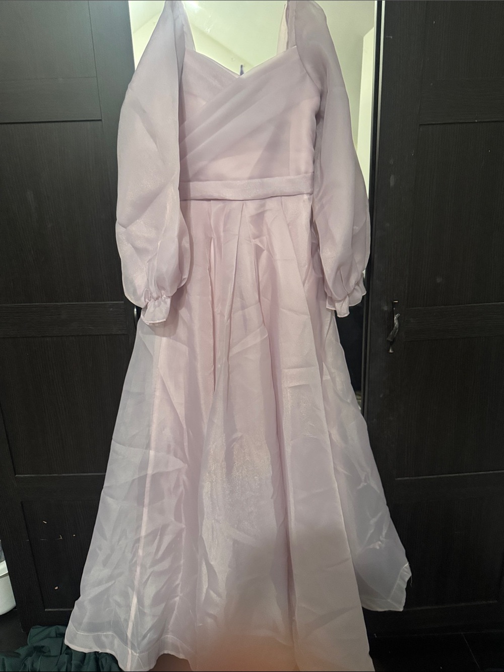 Light Pink Organza Long Sleeve Gown